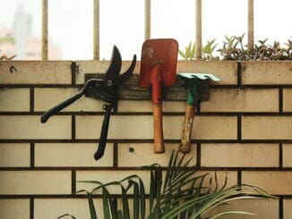 Secateurs, trowel and hand fork hanging on a garden wall