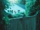 House partly hidden behind a tall wooden fence and trees